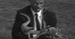 https://upforme.ru/uploads/001b/cd/83/2/643677.png