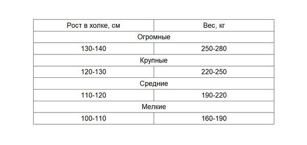 https://upforme.ru/uploads/001b/cd/bc/3/t235873.png