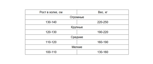 https://upforme.ru/uploads/001b/cd/bc/3/t787077.png