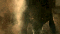 https://upforme.ru/uploads/001b/cd/bc/8/t156661.gif