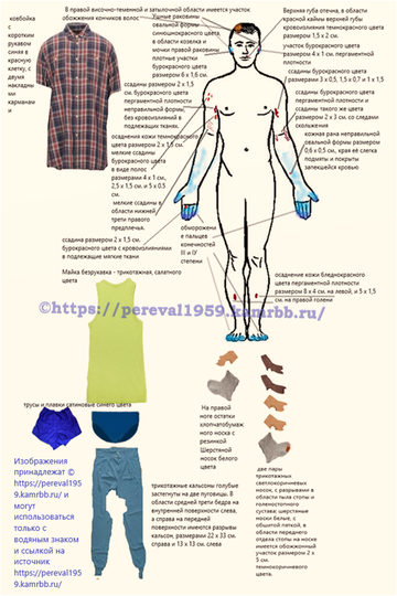 https://upforme.ru/uploads/001b/ce/12/126/t378433.png