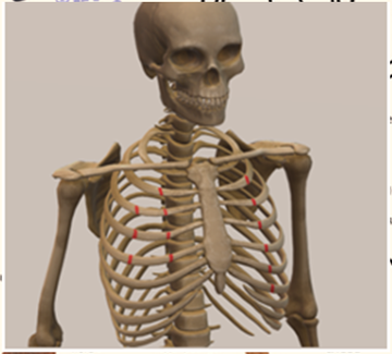 https://upforme.ru/uploads/001b/ce/12/126/t552107.png