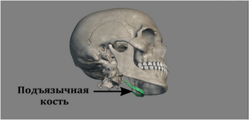 https://upforme.ru/uploads/001b/ce/12/126/t772987.png