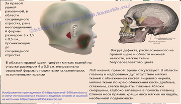 https://upforme.ru/uploads/001b/ce/12/126/t782082.png