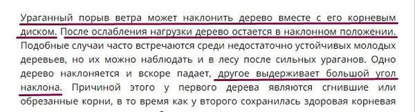https://upforme.ru/uploads/001b/ce/12/2/t34669.jpg