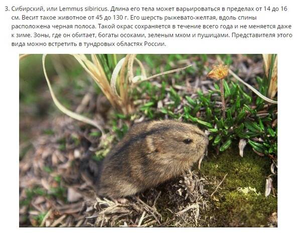 https://upforme.ru/uploads/001b/ce/12/2/t458678.jpg