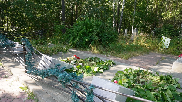 https://upforme.ru/uploads/001b/ce/12/2/t462018.png