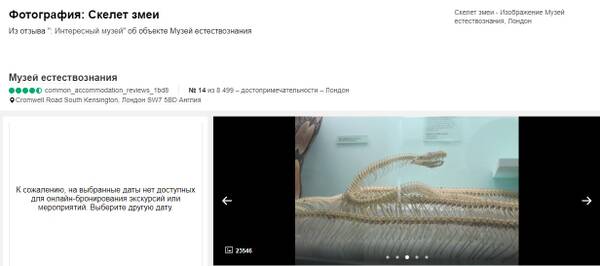 https://upforme.ru/uploads/001b/ce/12/2/t477116.jpg
