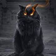 https://upforme.ru/uploads/001b/ce/f8/51/789631.jpg