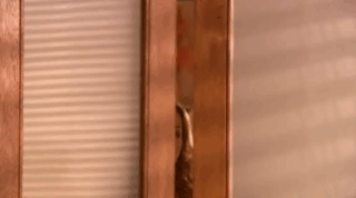 https://upforme.ru/uploads/001b/d3/65/2/t404075.gif