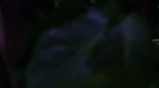 https://upforme.ru/uploads/001b/d3/65/2/t590995.gif