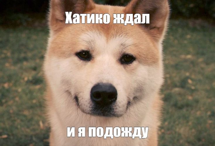 https://upforme.ru/uploads/001b/d3/65/44/14380.jpg