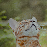 https://upforme.ru/uploads/001b/d3/88/2/413776.png