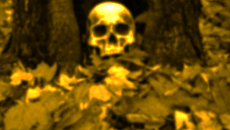 https://upforme.ru/uploads/001b/d4/18/10/277301.png