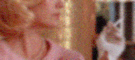 https://upforme.ru/uploads/001b/d4/18/280/201581.gif