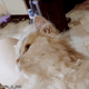 https://upforme.ru/uploads/001b/d4/18/462/671797.gif
