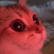 https://upforme.ru/uploads/001b/d4/18/462/836791.gif