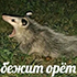 https://upforme.ru/uploads/001b/d4/18/624/813630.png