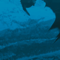 https://upforme.ru/uploads/001b/d4/18/678/55555.gif