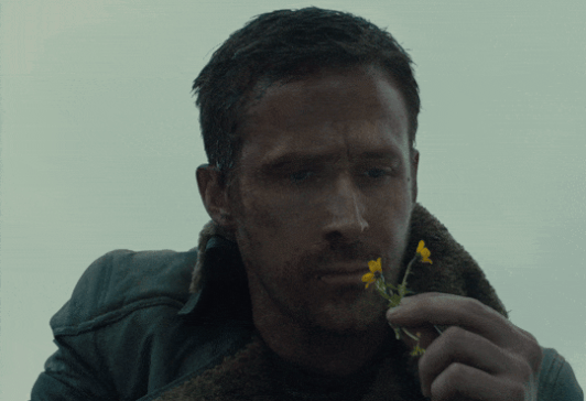 https://upforme.ru/uploads/001b/d4/18/855/885706.gif