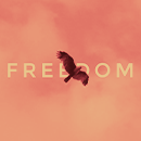 https://upforme.ru/uploads/001b/d4/18/993/347744.png