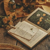 https://upforme.ru/uploads/001b/d4/28/91/431178.png