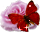 https://upforme.ru/uploads/001b/d5/29/2/t189013.gif
