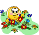 https://upforme.ru/uploads/001b/d5/29/2/t239873.gif