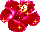 https://upforme.ru/uploads/001b/d5/29/2/t247091.gif