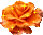 https://upforme.ru/uploads/001b/d5/29/2/t345696.gif