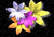 https://upforme.ru/uploads/001b/d5/29/2/t952225.gif