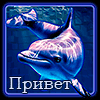https://upforme.ru/uploads/001b/d5/29/2/t994452.gif