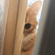 https://upforme.ru/uploads/001b/d5/f7/5/t326539.png