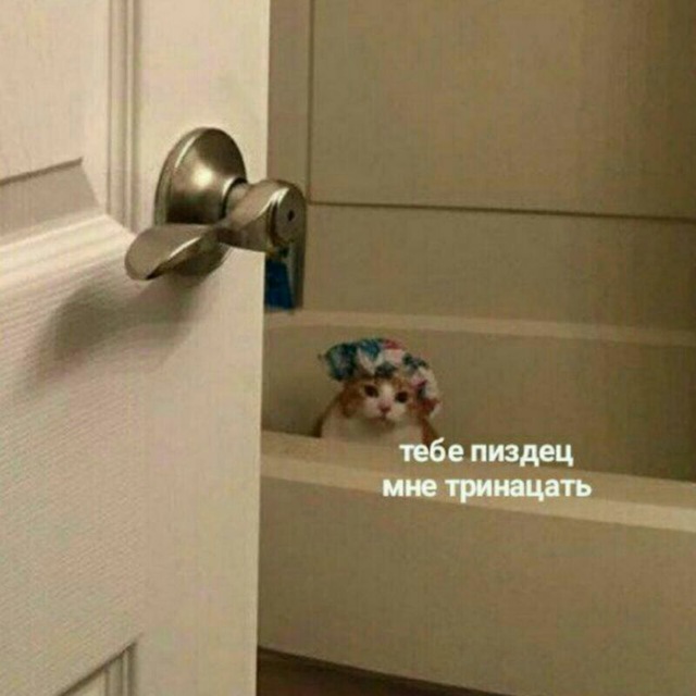 https://upforme.ru/uploads/001b/d7/9e/10/177470.jpg