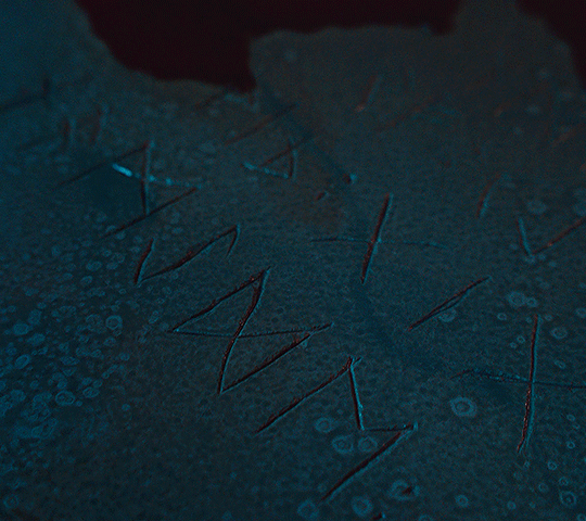 https://upforme.ru/uploads/001b/d7/9e/10/29188.gif