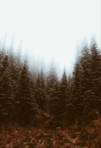https://upforme.ru/uploads/001b/d7/9e/30/873946.gif