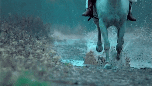 https://upforme.ru/uploads/001b/d7/9e/39/44643.gif