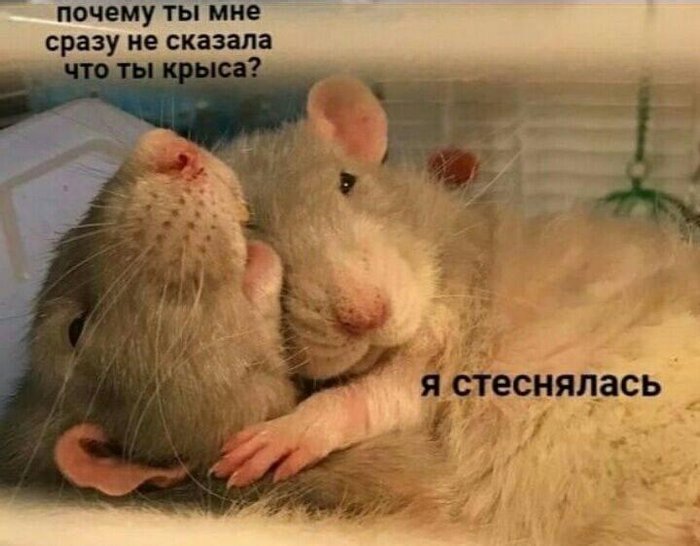 https://upforme.ru/uploads/001b/d7/9e/43/199283.jpg
