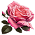 https://upforme.ru/uploads/001b/d9/4a/3/225489.png