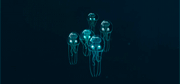 https://upforme.ru/uploads/001b/d9/4a/765/595341.gif