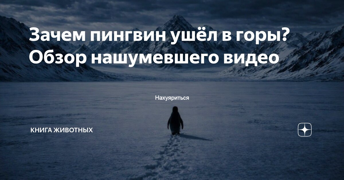 https://upforme.ru/uploads/001b/d9/4a/859/466904.png
