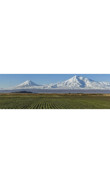 https://upforme.ru/uploads/001b/da/a0/2/t846600.gif