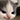 smalimg smalimg