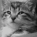 https://upforme.ru/uploads/001b/de/72/230/50137.gif