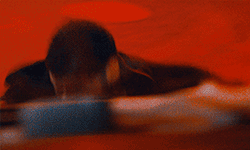 https://upforme.ru/uploads/001b/de/72/8/403478.gif