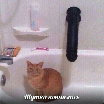 https://upforme.ru/uploads/001b/df/32/127/t423138.jpg