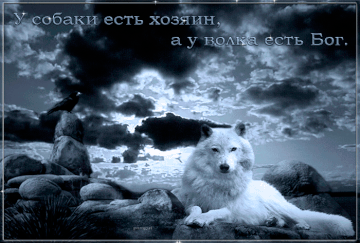 https://upforme.ru/uploads/001b/df/32/127/t438574.gif