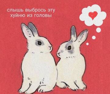 https://upforme.ru/uploads/001b/df/32/127/t989320.jpg