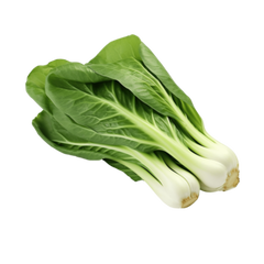 https://upforme.ru/uploads/001b/df/32/198/t558169.png