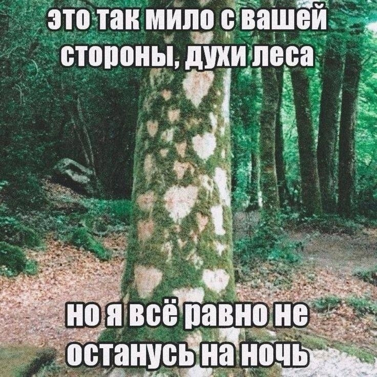 https://upforme.ru/uploads/001b/df/32/204/767948.png